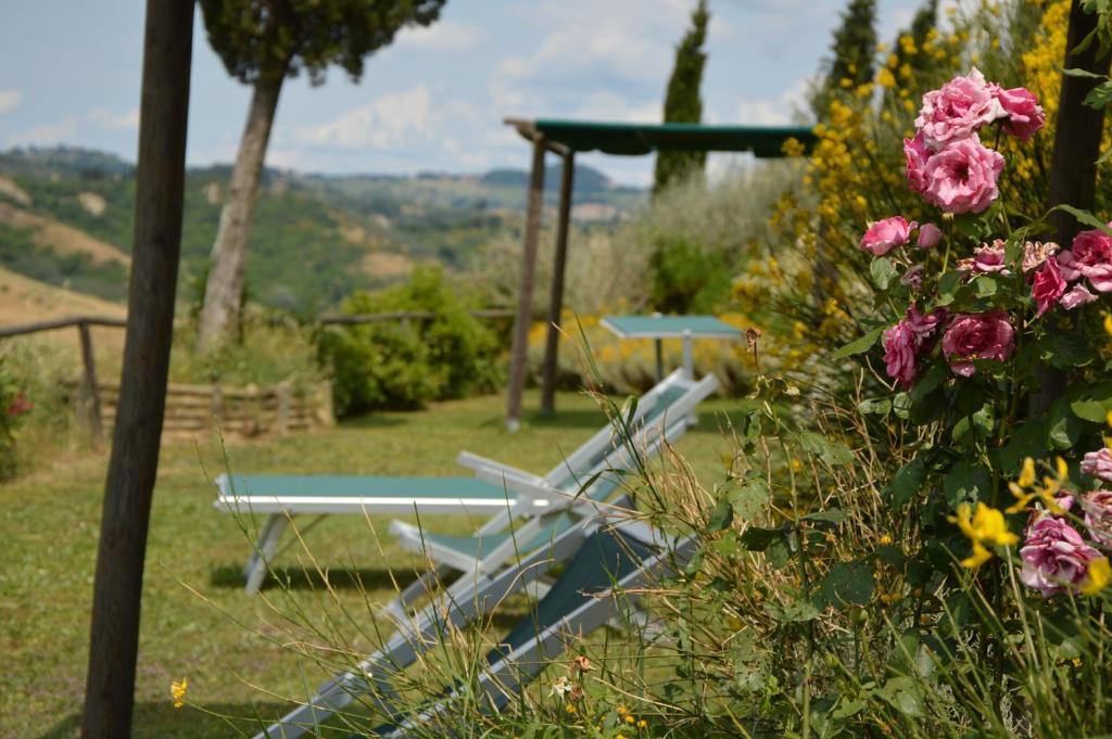 Bed & Breakfast Podere Benintendi