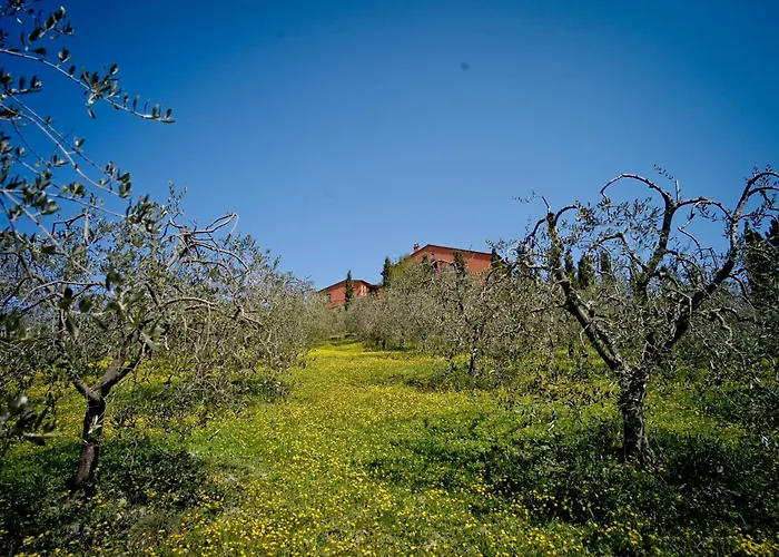 Podere Benintendi