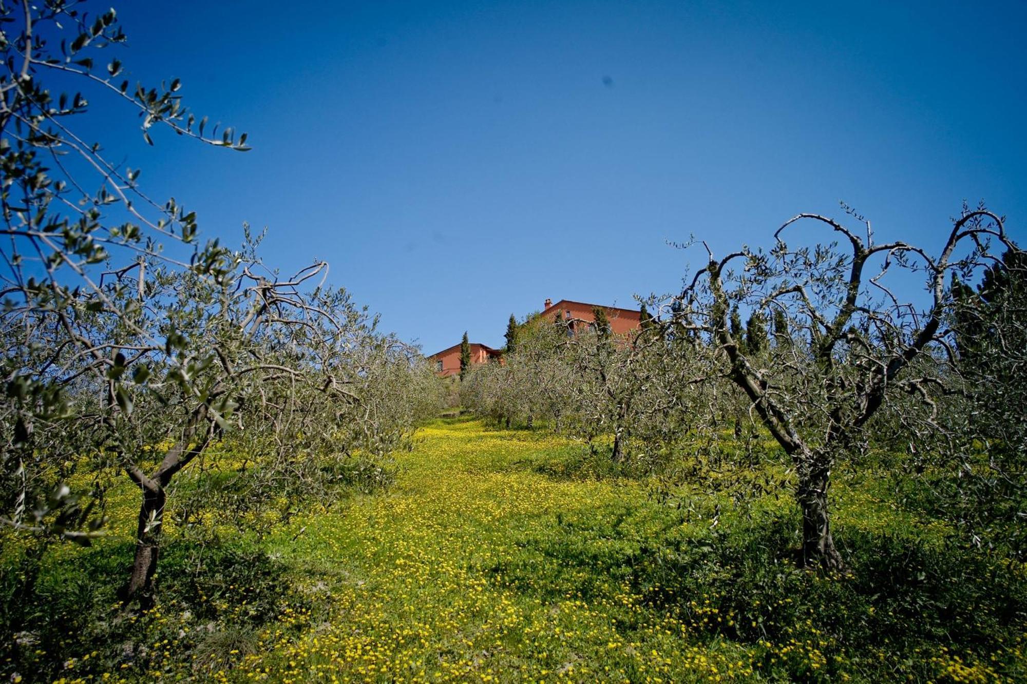 Podere Benintendi